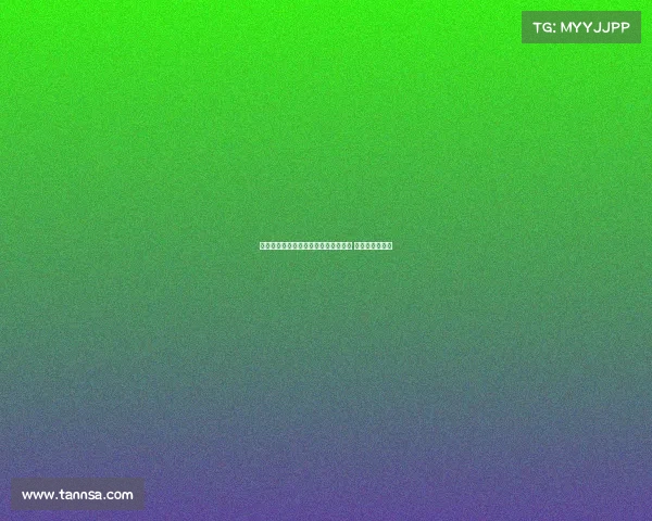 曼联与纽卡争夺法兰克福前锋埃基蒂克 激烈竞争引关注