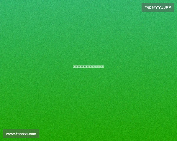 英超豪门球队最新动态分析与未来发展趋势探讨