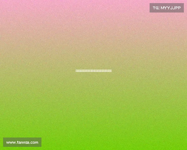 法甲历史零封次数排名：顶级门将的坚守与辉煌时刻