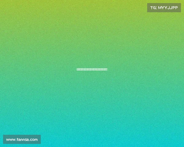 柏林联盟崛起之路：德甲新力量的成长与挑战